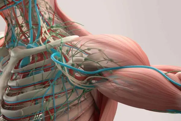 Anatomie, thÃ©matique Ã©ditoriale Oracom
