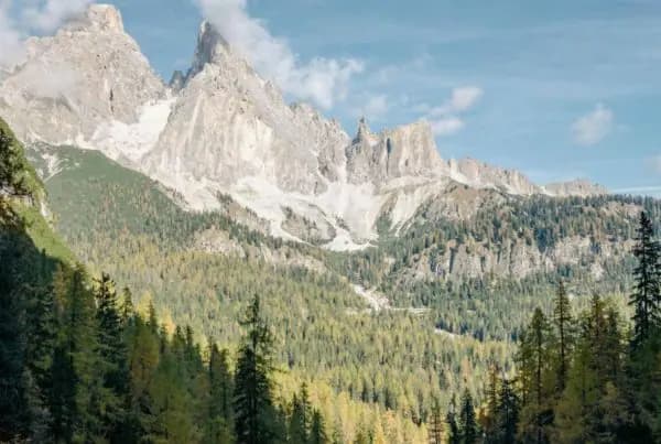 Nature, thÃ©matique Ã©ditoriale Oracom