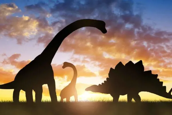 Dinosaures, thématique éditoriale Oracom