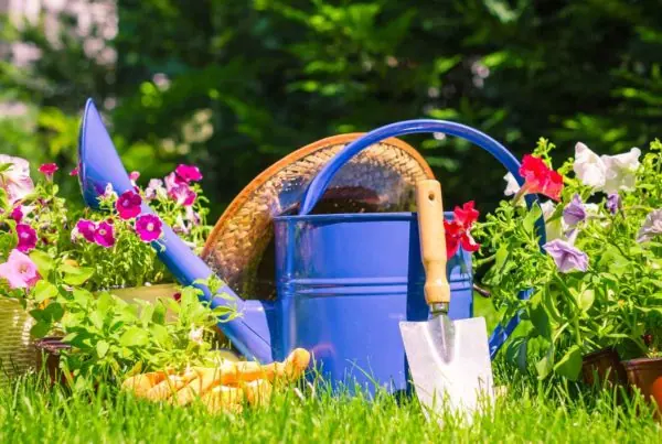 Jardinage, thématique éditoriale Oracom